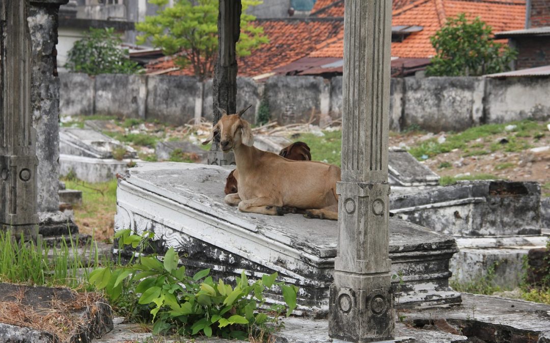 Panduan Lengkap Mengurus Paspor Anak