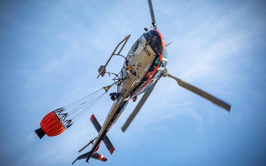 Manfaat Layanan Khusus Disabilitas yang Tersedia Secara Online dan Offline