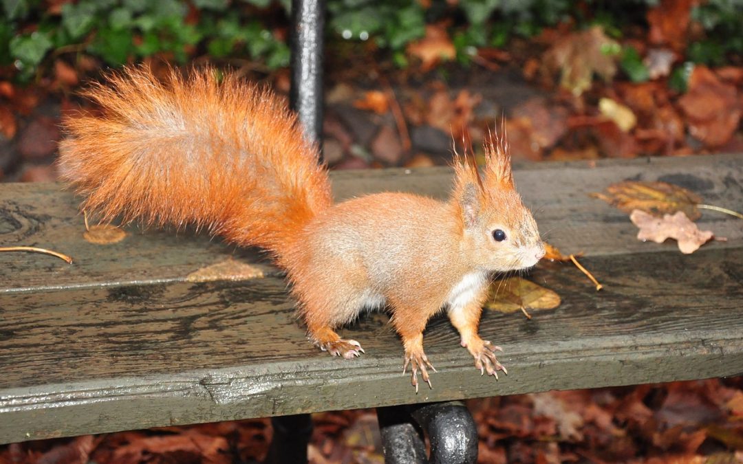 Kenapa Paspor Anak Penting untuk Liburan Keluarga